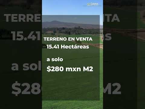 Previsualización del video