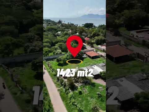Previsualización del video