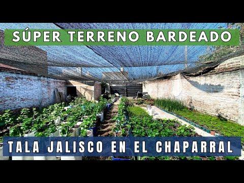 Previsualización del video