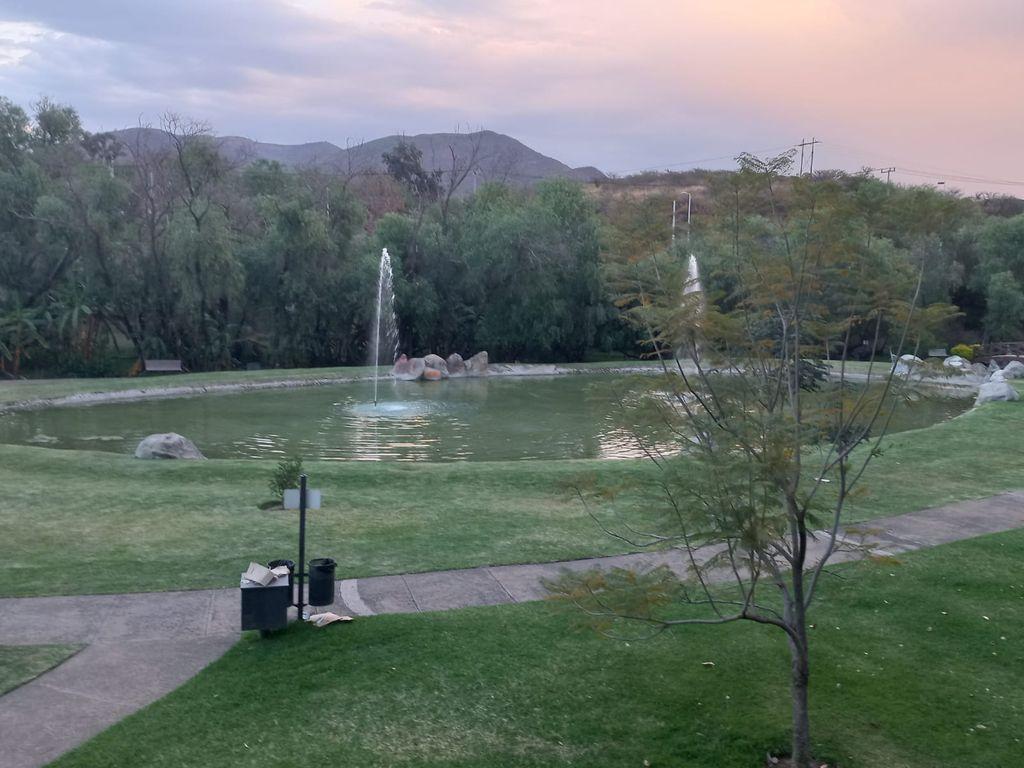 Foto de la galeria de imagenes