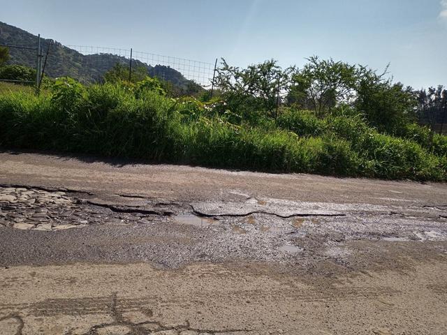 Foto de la galeria de imagenes