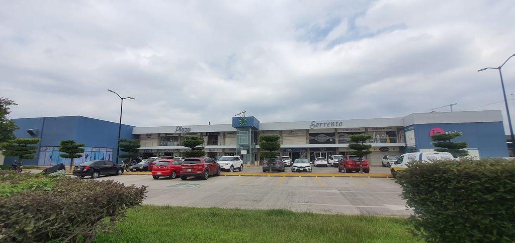 Foto de la galeria de imagenes