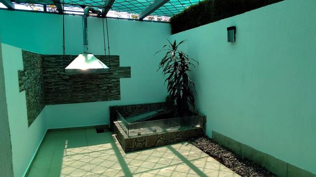 Foto de la galeria de imagenes