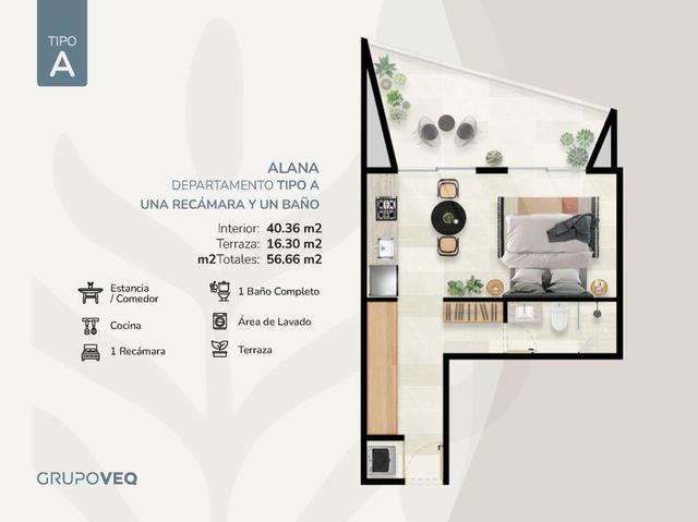 Foto de la galeria de imagenes