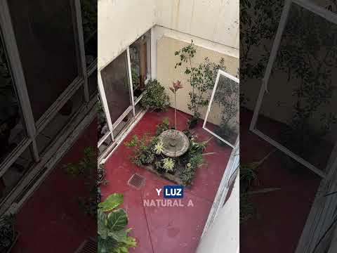 Previsualización del video